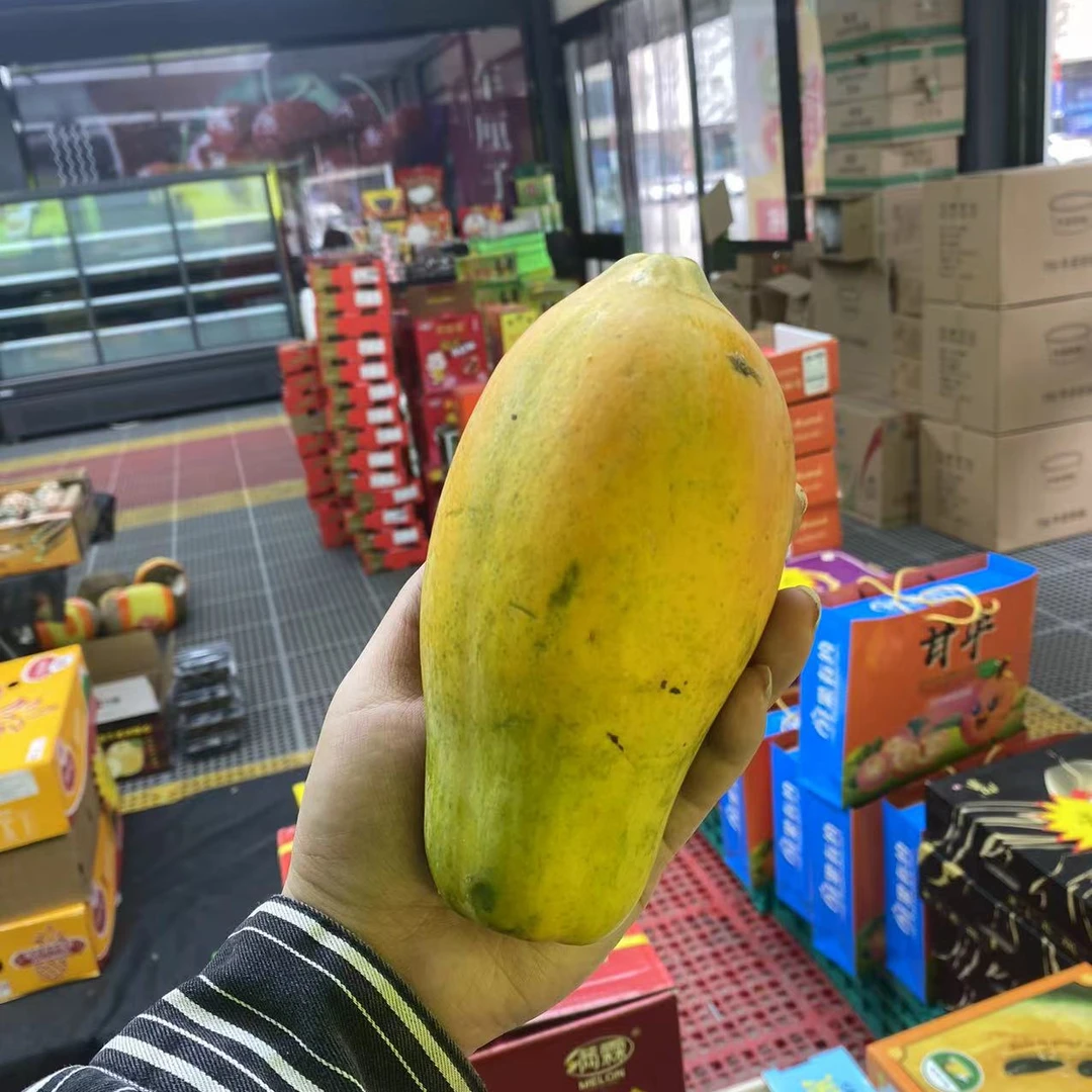 树上熟木瓜『一    个』