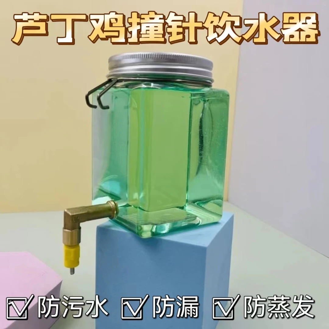 芦丁鸡撞针式饮水器宠物专用水壶鸟类鹦鹉八哥自动饮水器大容量