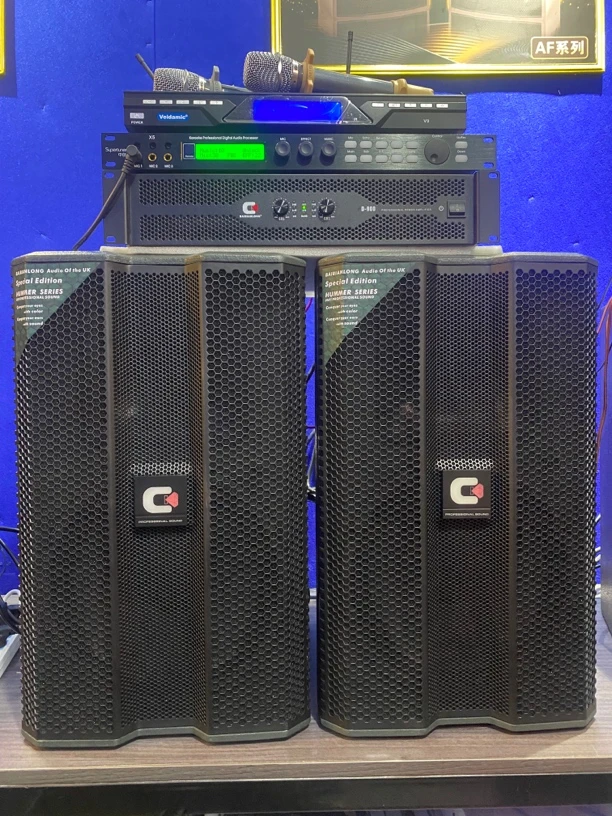 英国百变龙12寸四件套，原装正品，百变龙单元，家庭KTV高端音响。