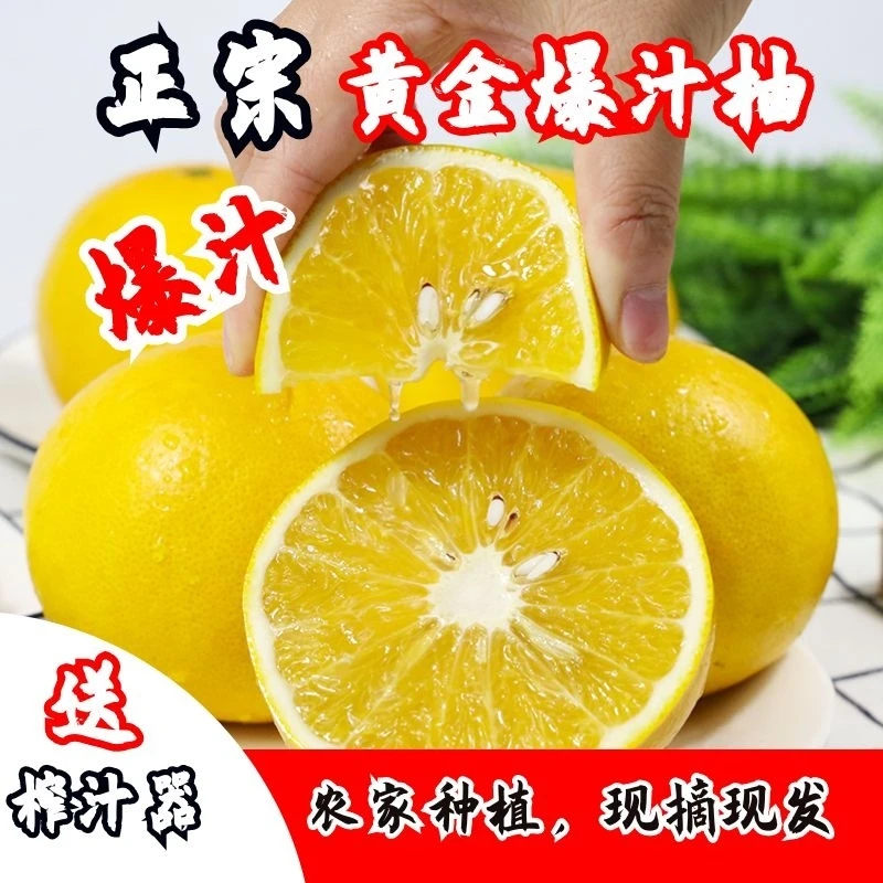 【爆汁葡萄柚】爆汁果冻葡萄柚香甜当季水果4.5斤多仓发货清甜多汁