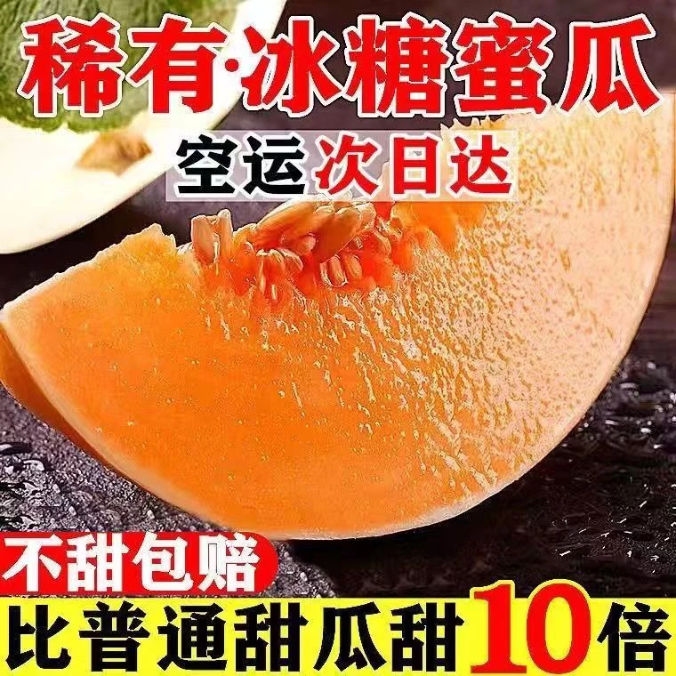 【爆甜疯抢】正宗民勤红金蜜甜瓜黄河蜜瓜黄皮9-10斤水果整箱包邮
