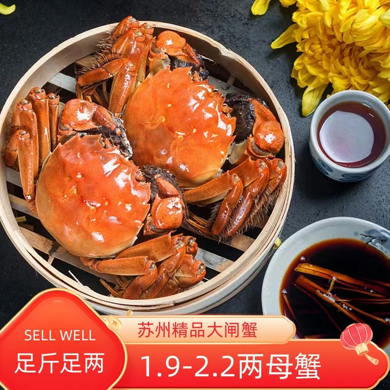 （活蟹）苏州精品大闸蟹礼盒1.9-2.2两6只全母蟹国庆送礼螃蟹鲜活