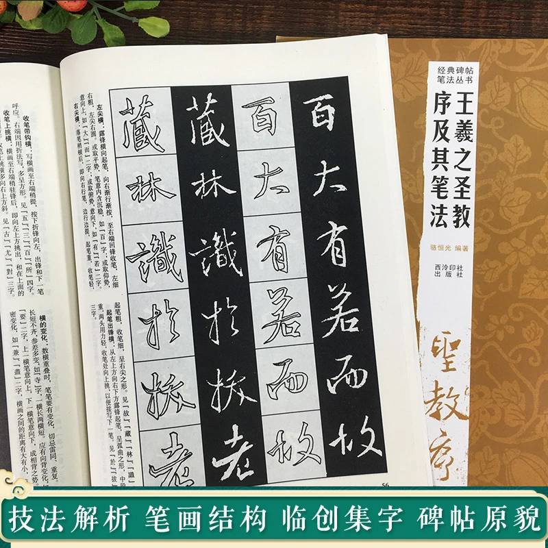 王羲之圣教序及其笔法 经典碑帖笔法丛书 墨迹放大版行书入门技法