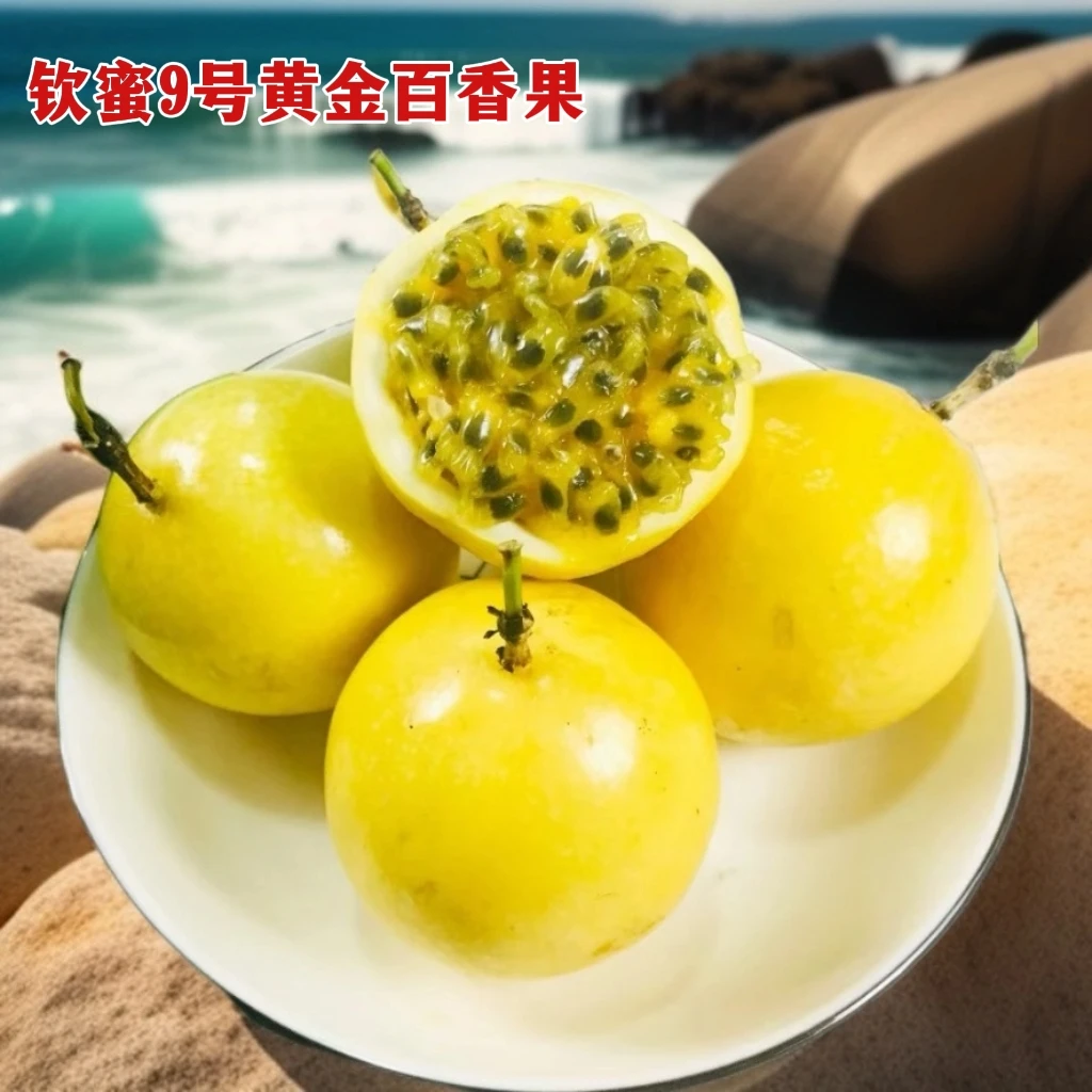 精品钦蜜9号黄金百香果，香甜多汁