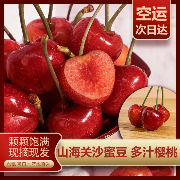 【邮政严选】山海关露天沙蜜豆大樱桃现摘现发空运爆汁酸甜孕妇水果