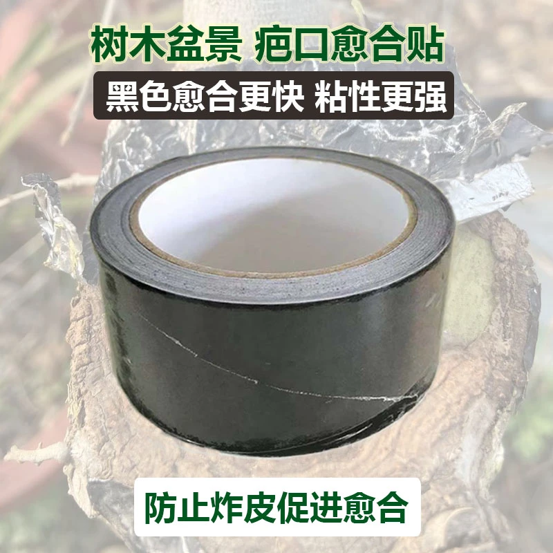 盆景伤口果树金弹子生桩疤口贴黑色锡箔纸贴马眼封口锡纸俞合贴