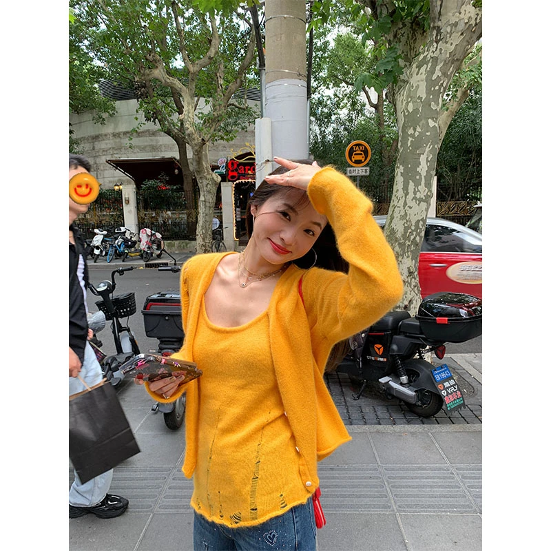 落落狷介早秋小个子穿搭针织背心两件套2024年新款设计感小众上衣