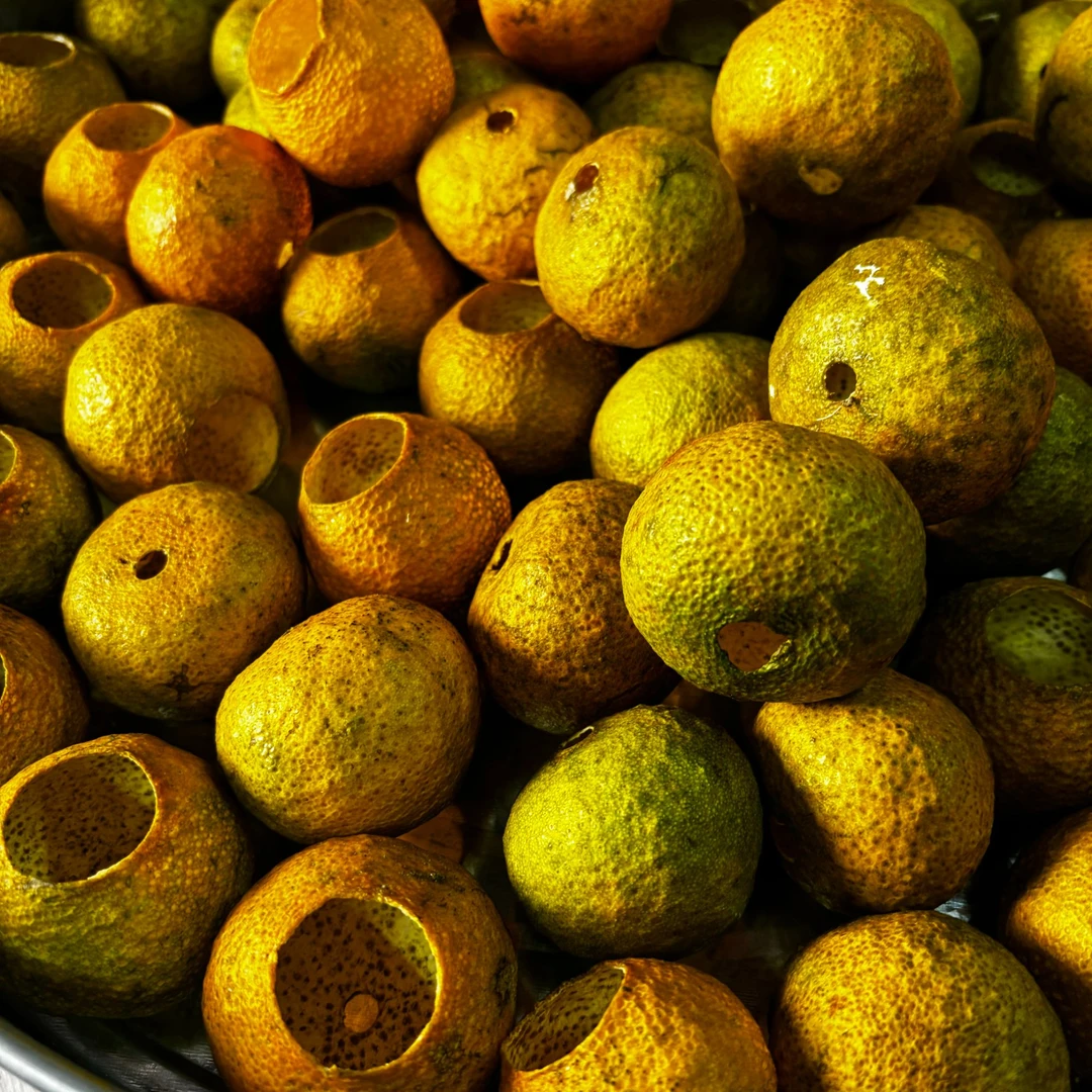 2024年南坦大红果壳