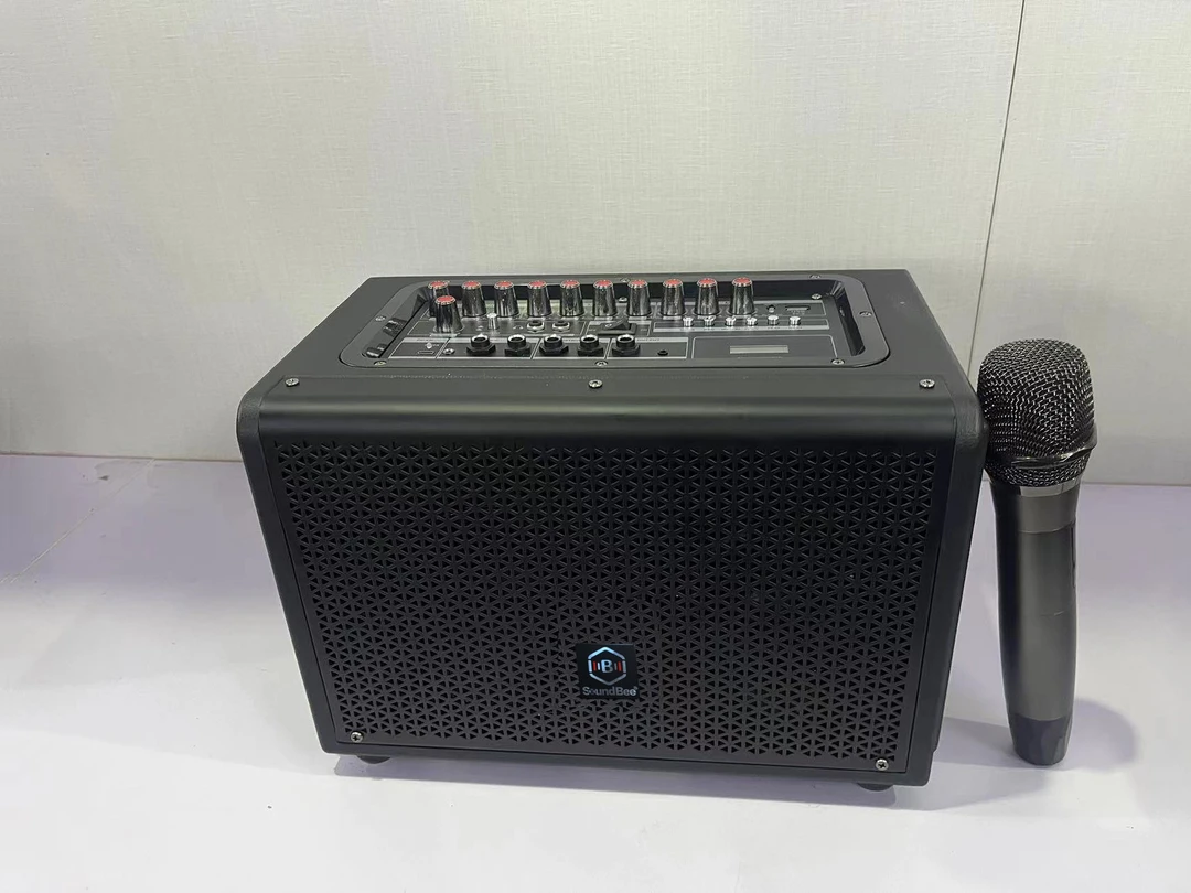 专业K歌音响广场舞便携大功率蓝牙一体演出音箱