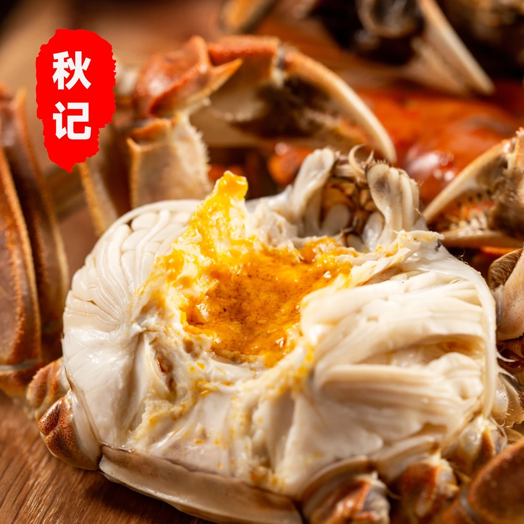 【活蟹现发】正宗江苏大闸蟹10只礼盒装全母蟹3.1-2.8两顺丰包邮
