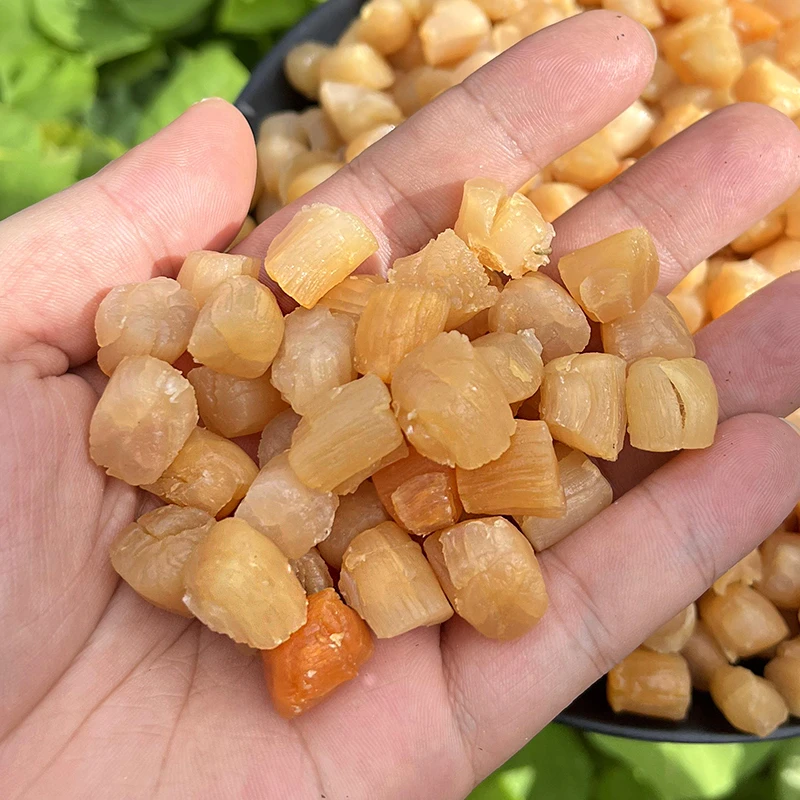 【海铲兄妹】正宗大连 中粒淡干瑶柱干贝 海味干货 海鲜扇贝肉