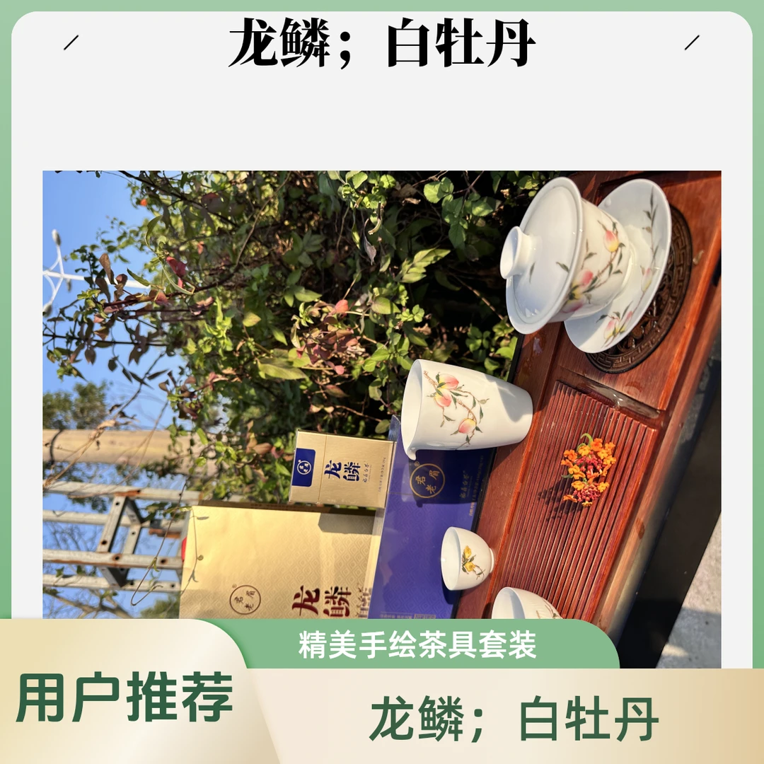 龙鳞；白牡丹2018年方块茶新品上市