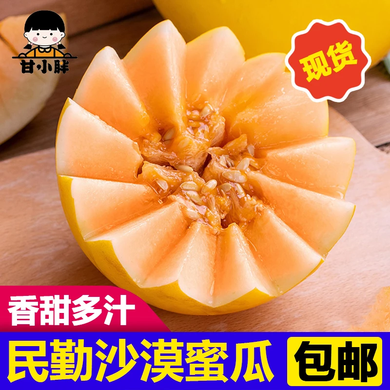 【大文专属】甘肃金红宝民勤蜜瓜沙漠蜜瓜