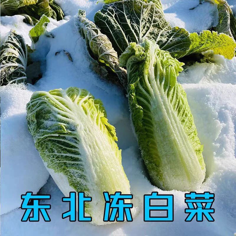 东北冻白菜5斤装商品图