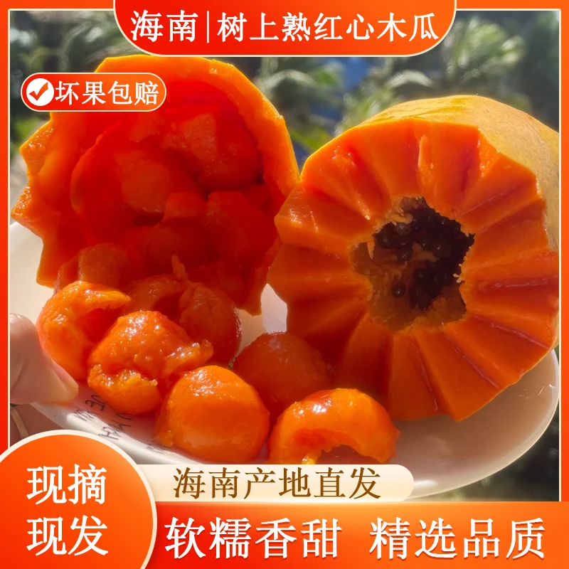 海南红心牛奶木瓜香甜鲜嫩树上熟5/8斤装 坏果包赔 京东/顺丰随机
