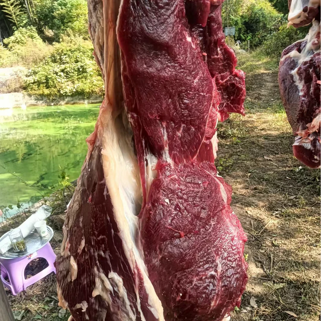 【现称晓林专属】金寨黄牛肉农家喂养无注水现宰金标老黄牛肉