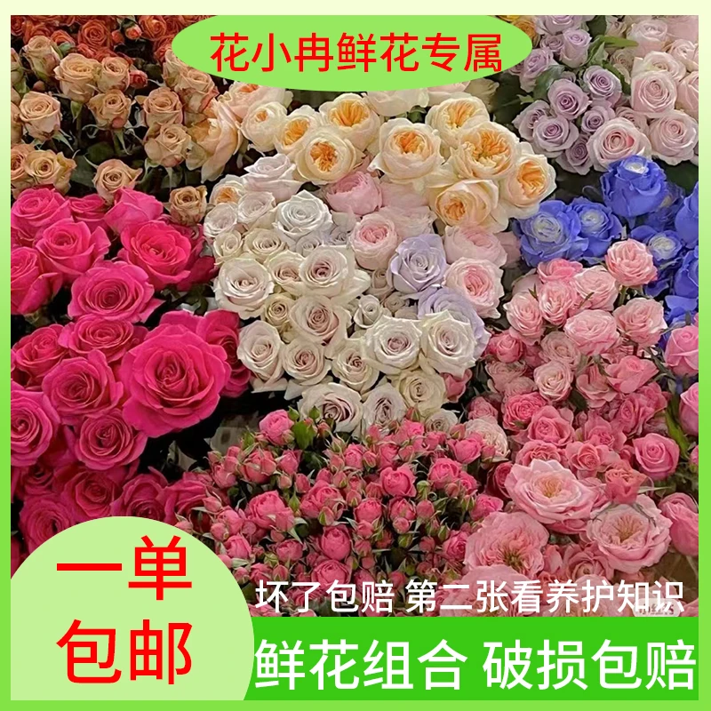 【花小冉专属】 六六大顺套餐:卡布奇诺艾莎戴安娜红玫瑰洛神白玫瑰