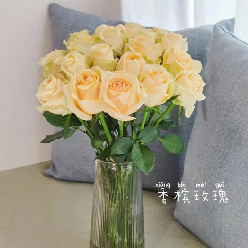 香槟每瑰鲜花云南昆地花卉直发家养先切花    1单也包邮