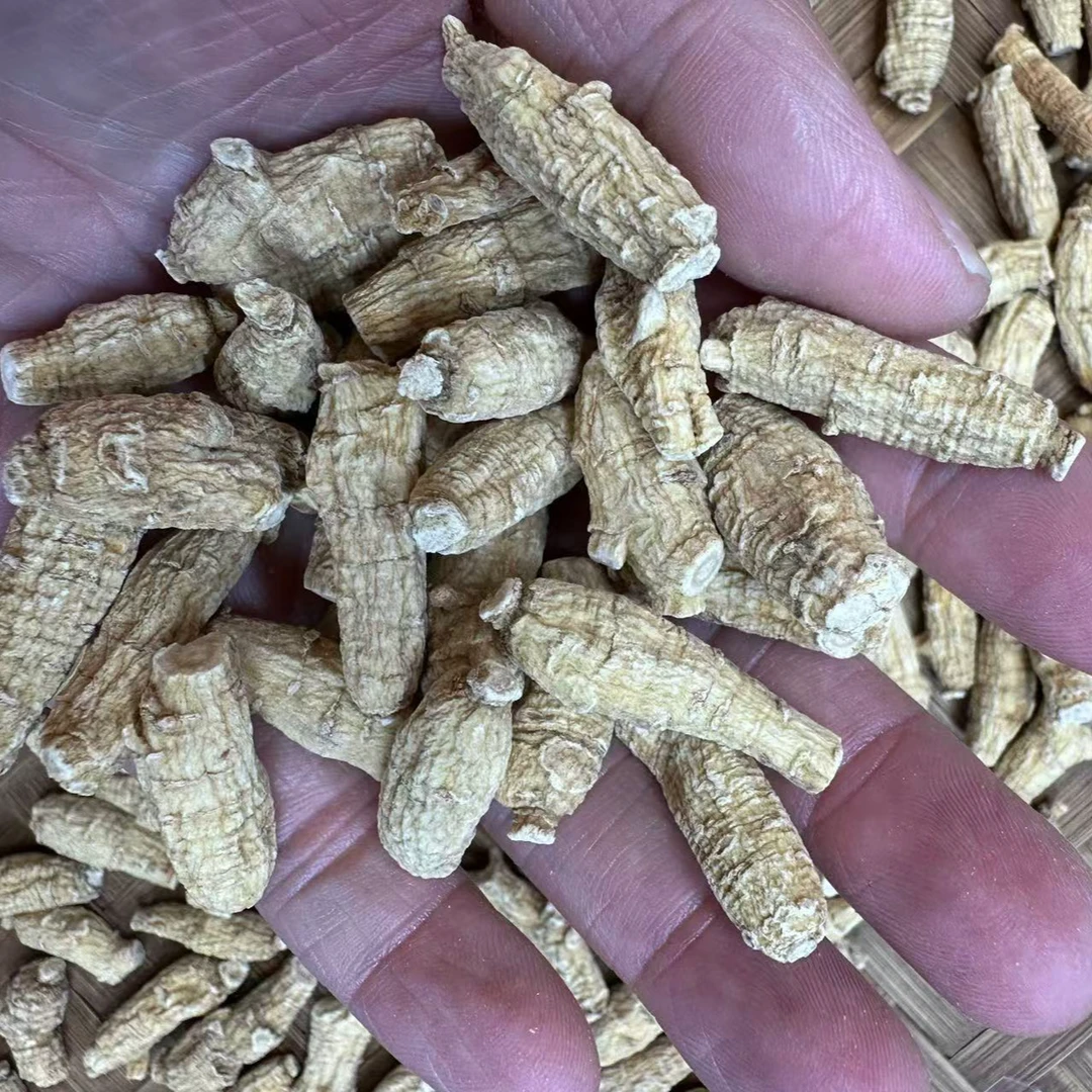 （霞姐宠粉）切片西洋参营养炖汤
