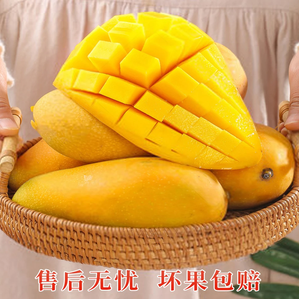【700万粉丝庆典】金煌芒净重不低于2.6斤  肉厚果核薄  无筋无丝