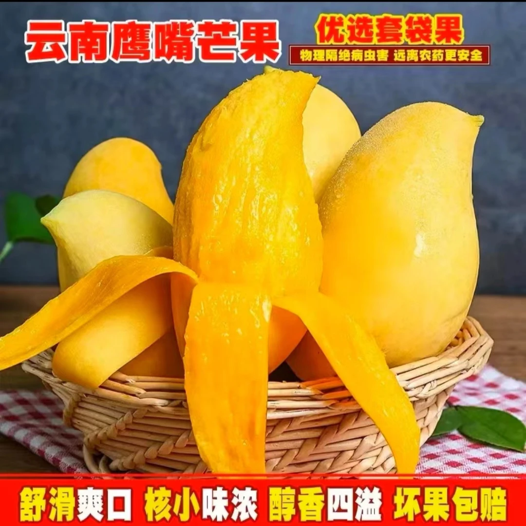 【云南鹰嘴芒】  带箱5斤   精品套袋果  肉厚果核薄   M6