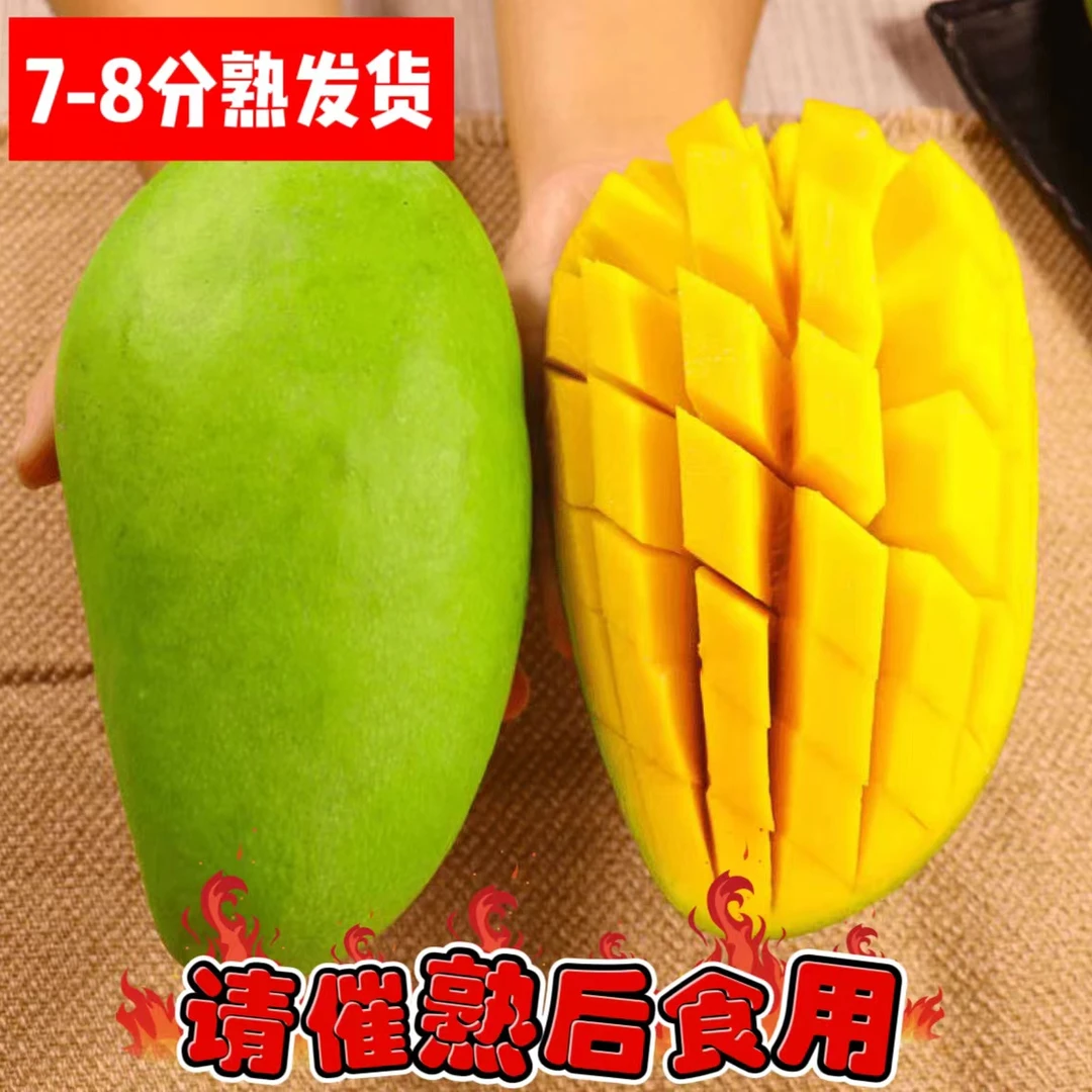 【正宗金煌芒】 带箱5斤 单果400-600克 3-5个肉厚果核薄 无筋无丝