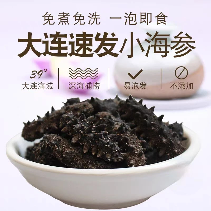 速发海参1根装免煮易泡发高涨发率
