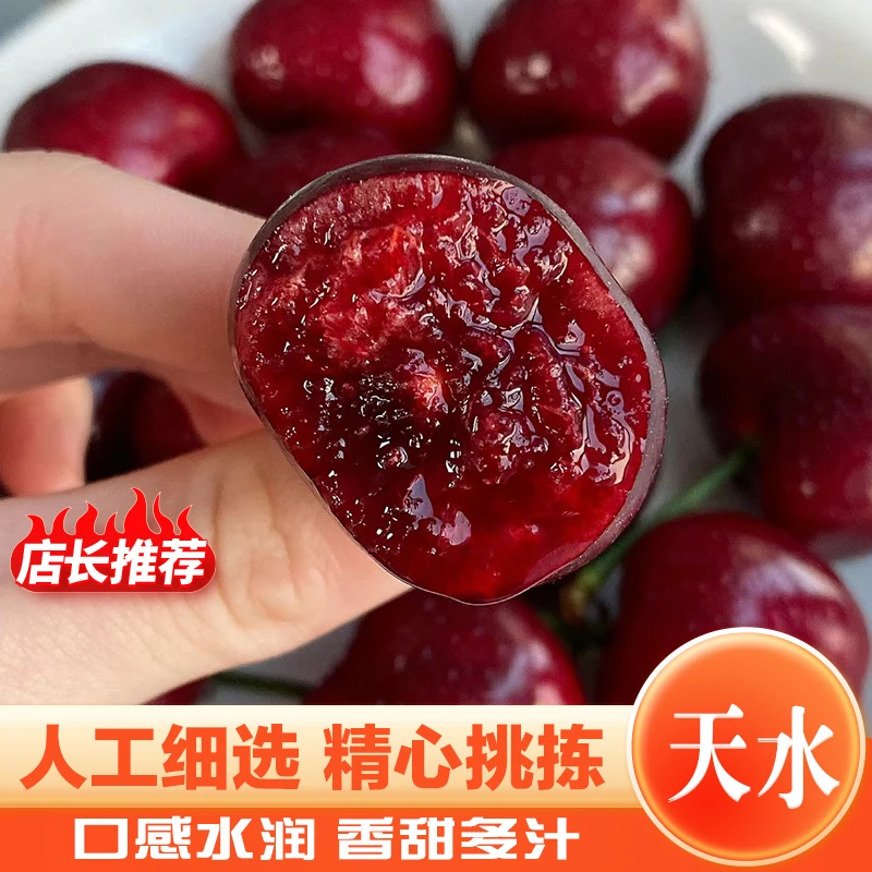 {杨飞优选}套袋美早车厘子天水大樱桃3/5斤脆甜多汁新鲜顺丰包邮
