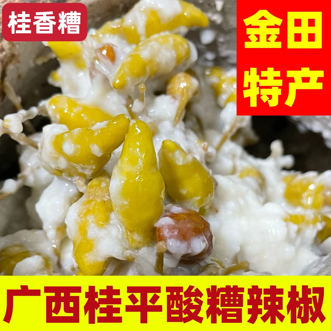 【白糟指天椒】广西桂平金田特产酸糟香糟