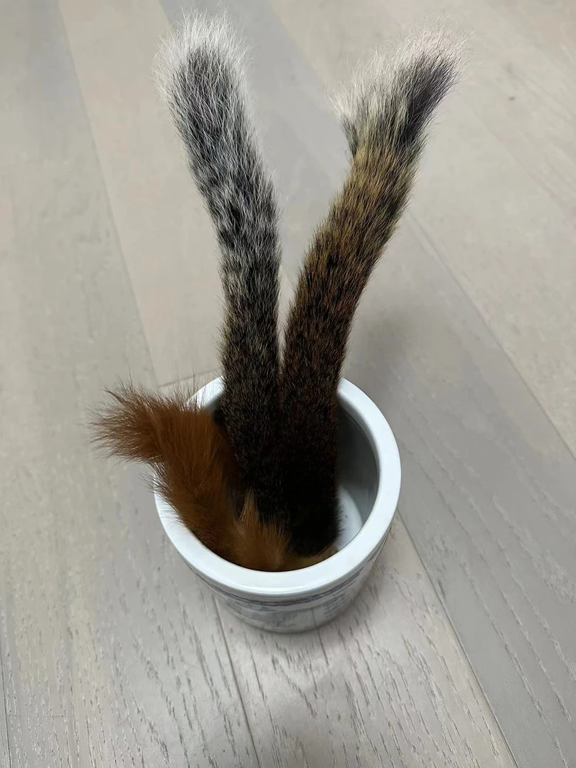临时秒拍链接指定的毛笔专拍连接毛笔