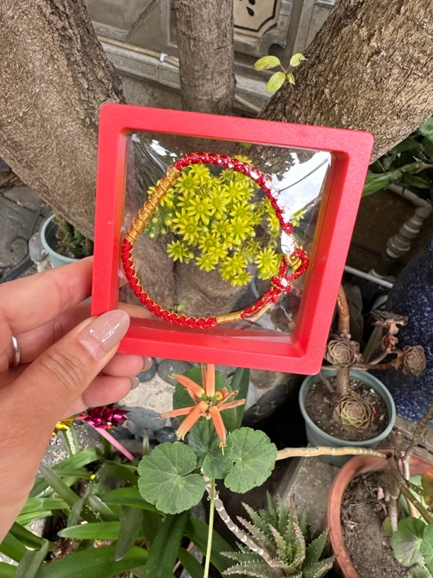 非金属锦纶手链 手工编织精美手链