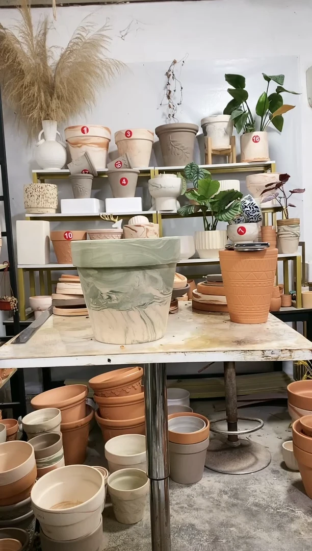 【闪购商品】红陶22.5*21绿白陶 1盆无托