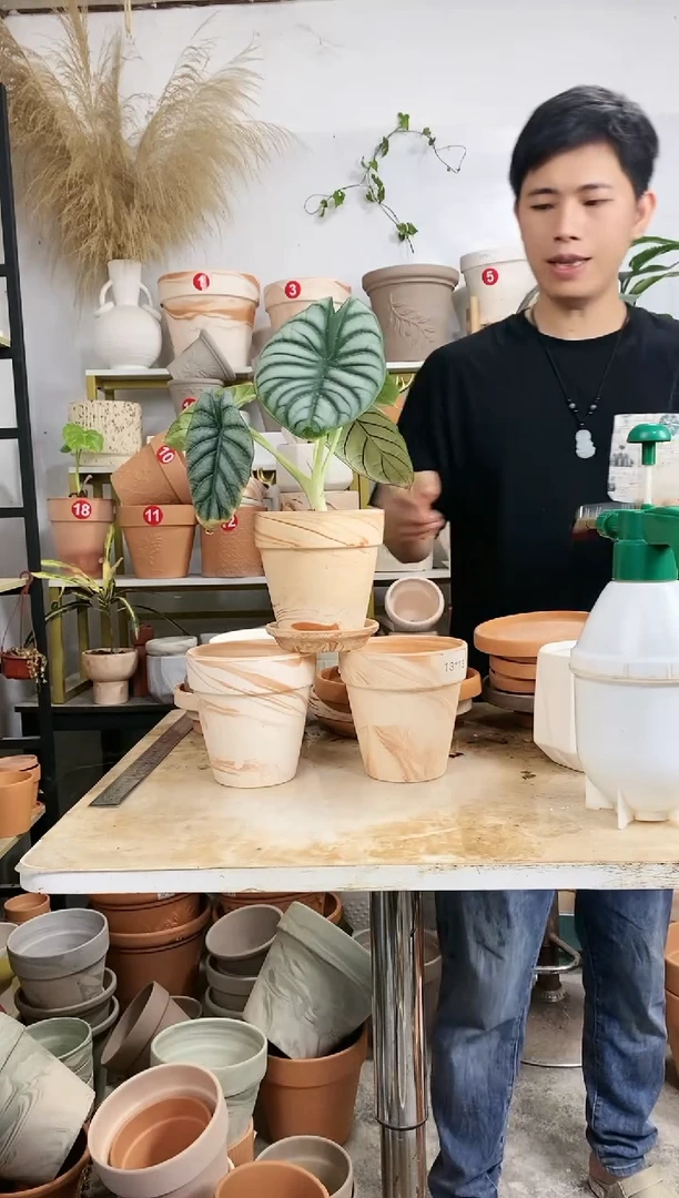 【闪购商品】红陶20CM以下13*13玛奇朵 3盆3托