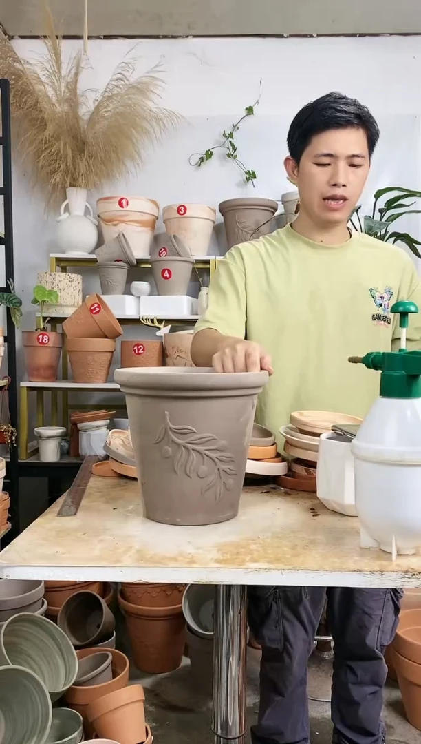 【闪购商品】红陶20CM以下25*23灰陶橄榄枝 1盆无托