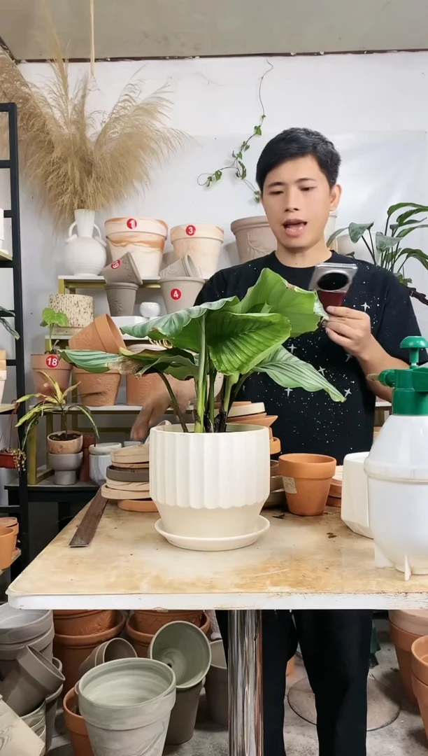 【闪购商品】红陶20CM以下19*16白陶直筒半竖纹 1盆1托