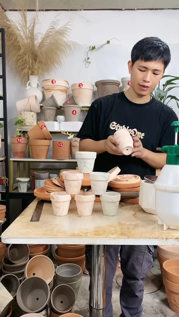 【闪购商品】红陶20CM以下8*8玛奇朵+绿白陶 6盆无托