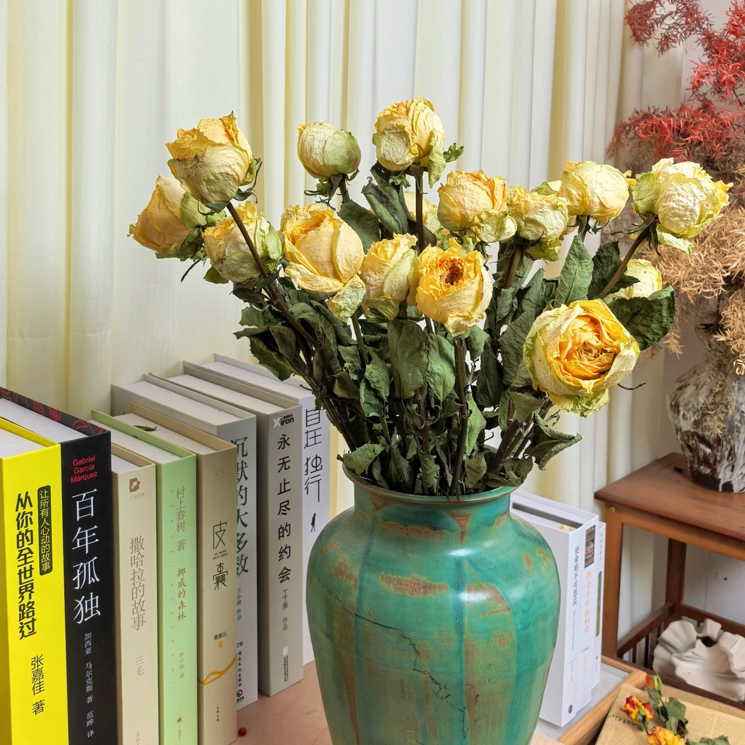 【ZHIHUANIAN】蜜桃雪山玫瑰 香槟色 清新素雅治愈 黄色系玫瑰 拍照