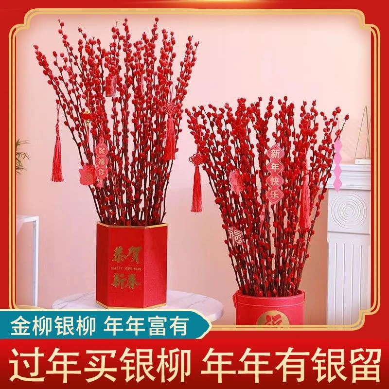 【新疆包邮】10支 银柳花鲜枝水培植物红色银柳年宵花卉室内装饰