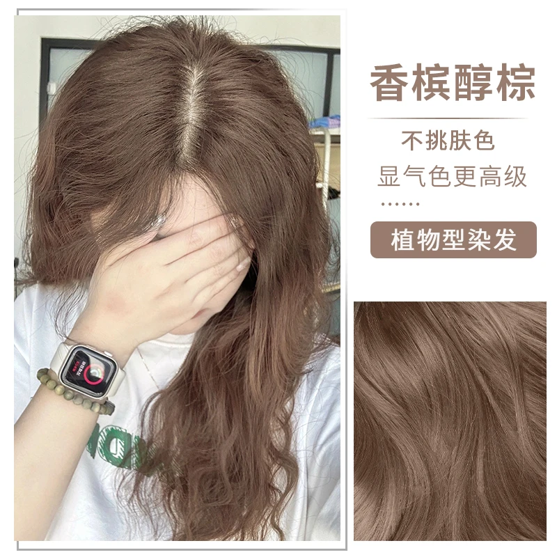 香槟醇棕色染头发剂膏自己在家染2024流行色泡泡沫植物天然纯品牌