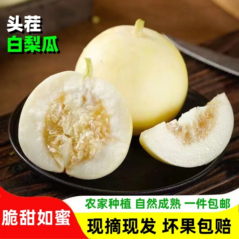 山东头茬白梨瓜5斤/新鲜小蜜蜂甜瓜香甜多汁营养美味自然成熟甜瓜