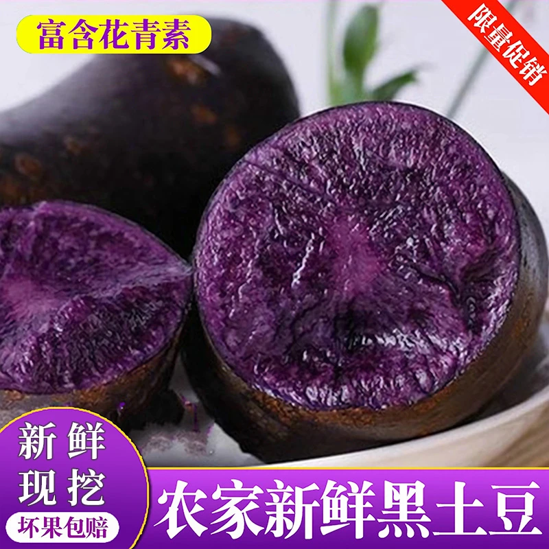 新鲜种植现挖黑土豆黑美人紫土豆紫色马铃薯黑洋芋富含花青素营养