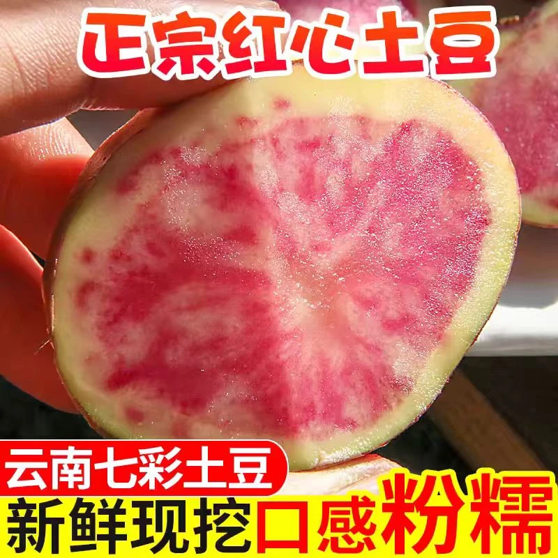 云南土豆七彩土豆红心马铃薯花心红皮土豆农家新鲜洋芋现挖现发