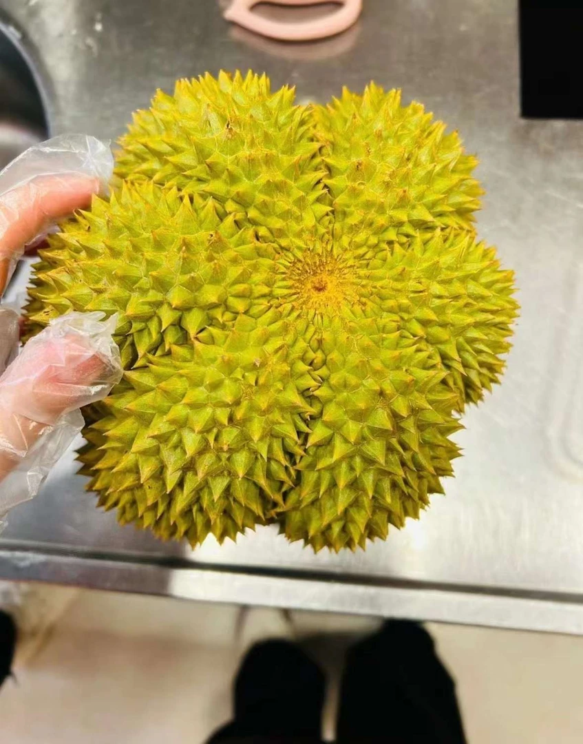 加仑榴莲一个4.2斤到4.5斤左右保五房肉 包软糯香甜