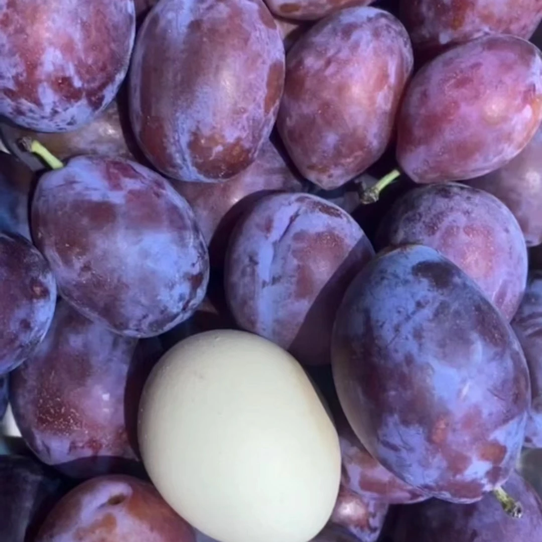 (1小时送达）4J智利进口西梅