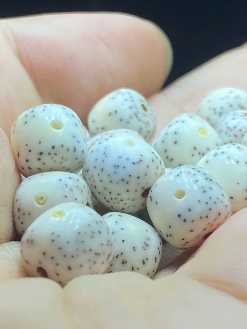 （直播间价格浮动链接）海南星月菩提正宗毛感料