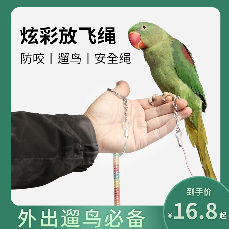 鹦鹉室外放飞绳遛鸟脚环玄凤虎皮专用防咬训练外出飞行拉伸牵引绳