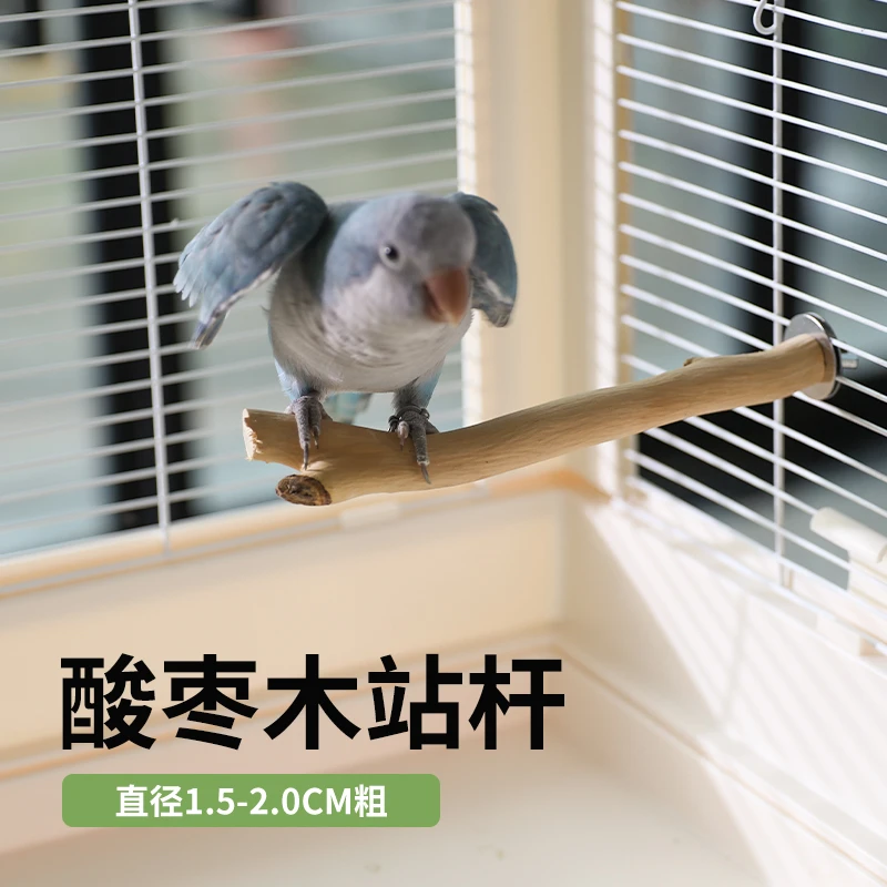 高能鹦鹉站杆站棍天然酸枣木实木鸟栖木树枝鸟笼配件磨嘴磨爪用品