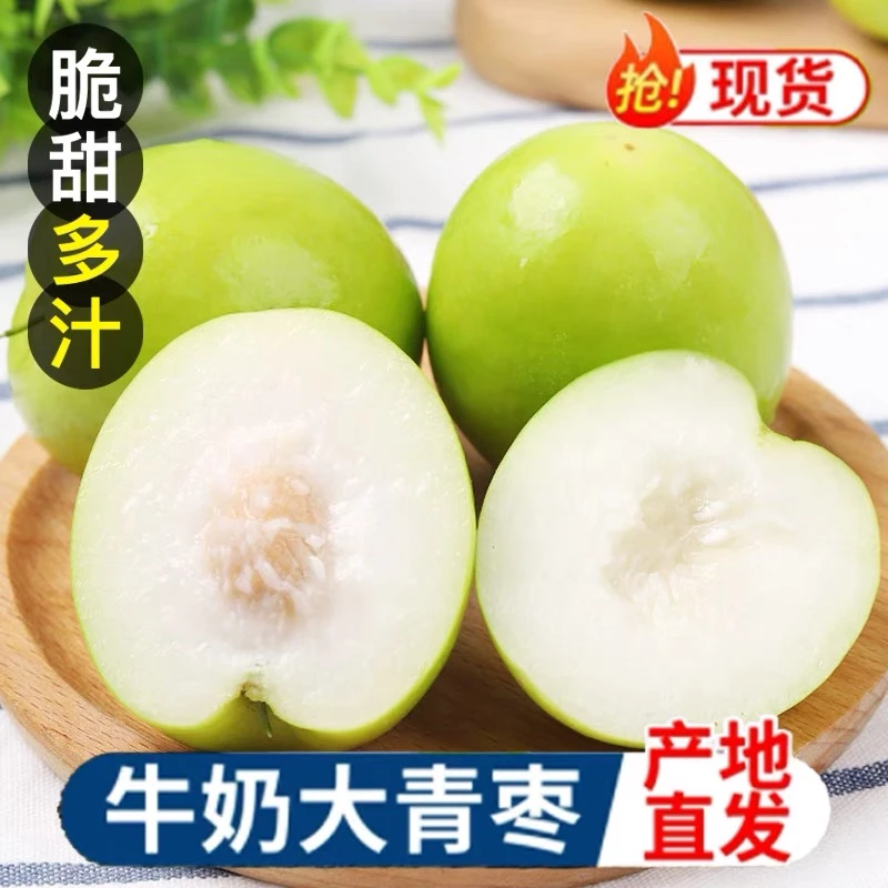 zb福建牛奶贵妃枣大青枣新鲜水果当季整箱大蜜枣冬枣苹果枣3/5斤