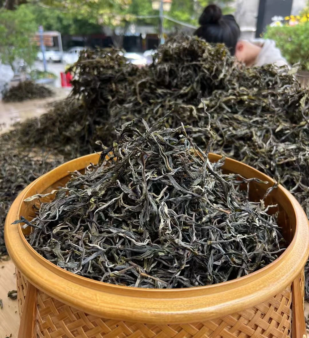2025普洱生茶 正气塘古树挑采100克 甜润细滑茶叶