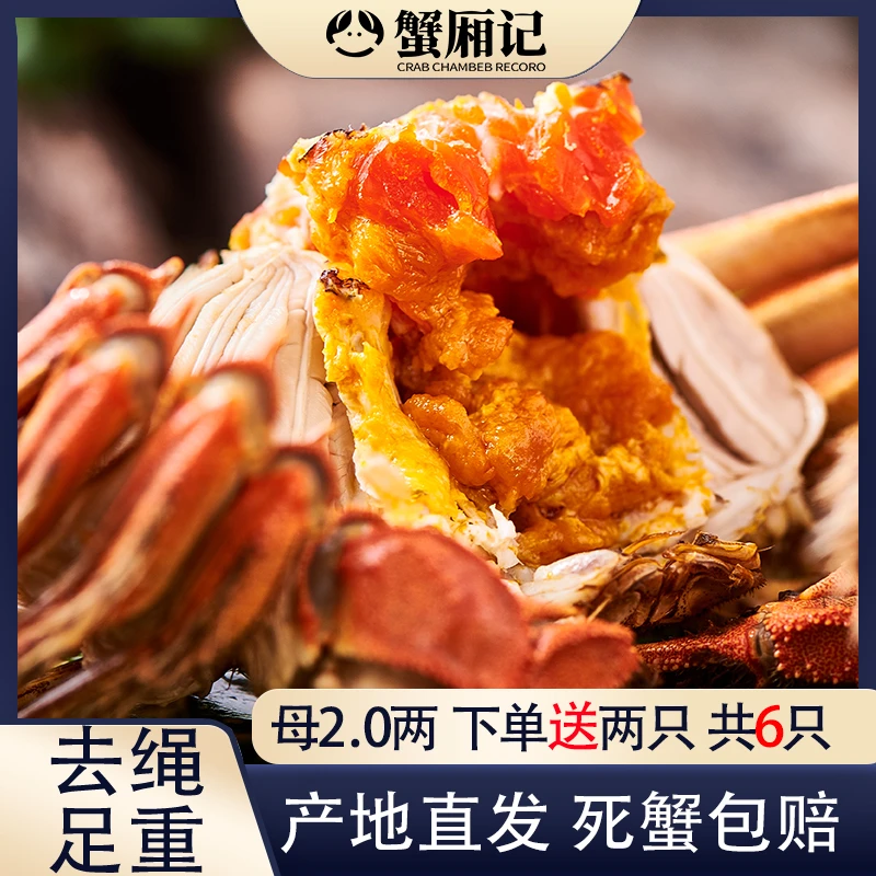 【活蟹】蟹厢记中秋礼盒大闸蟹全母2.0两4只装 河蟹 鲜活螃蟹礼盒